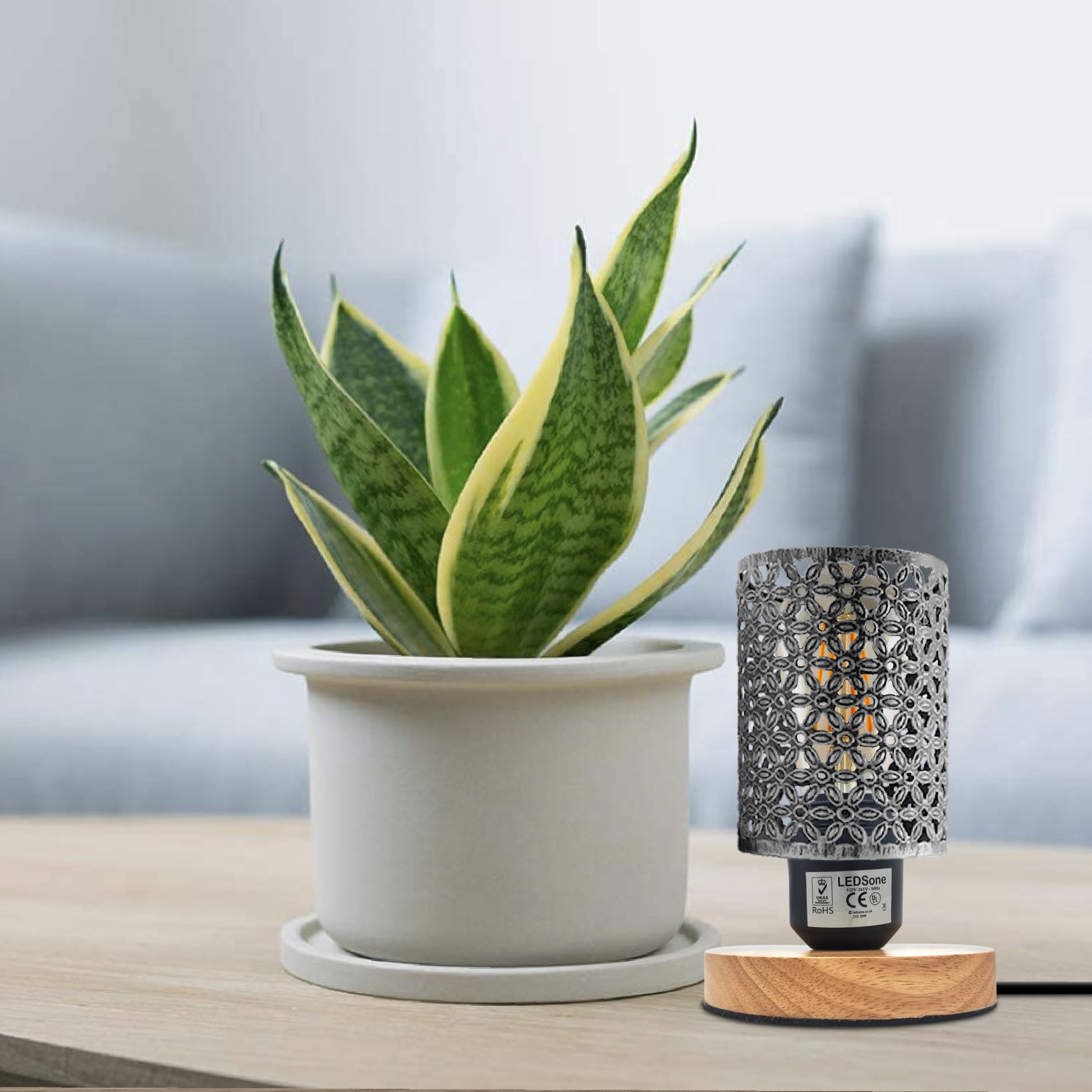 metal cage small bedside table lamp