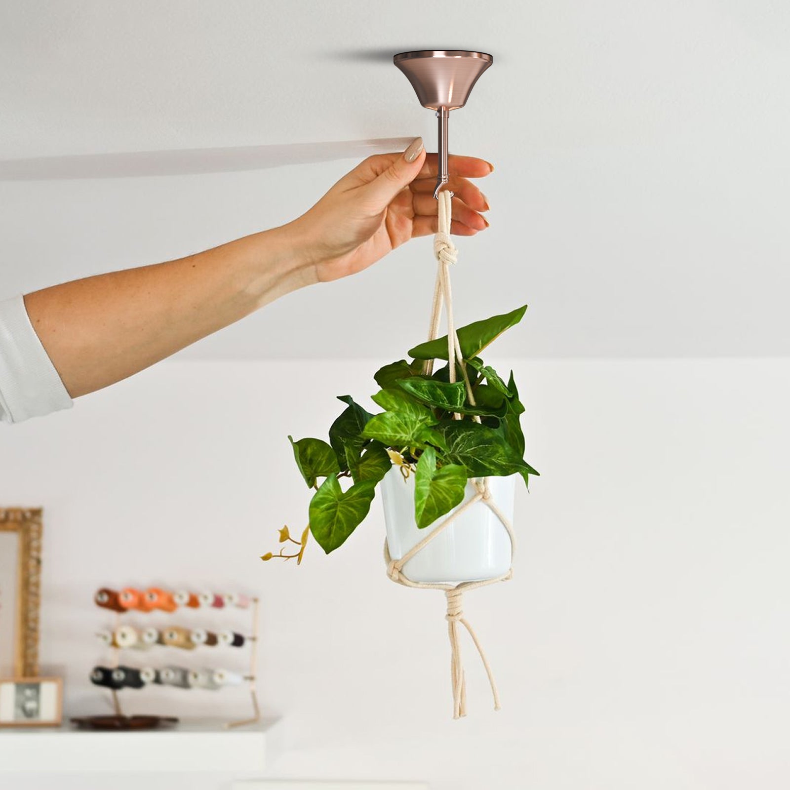 Ceiling rose light fitting set with E27 lamp holder and ground wire