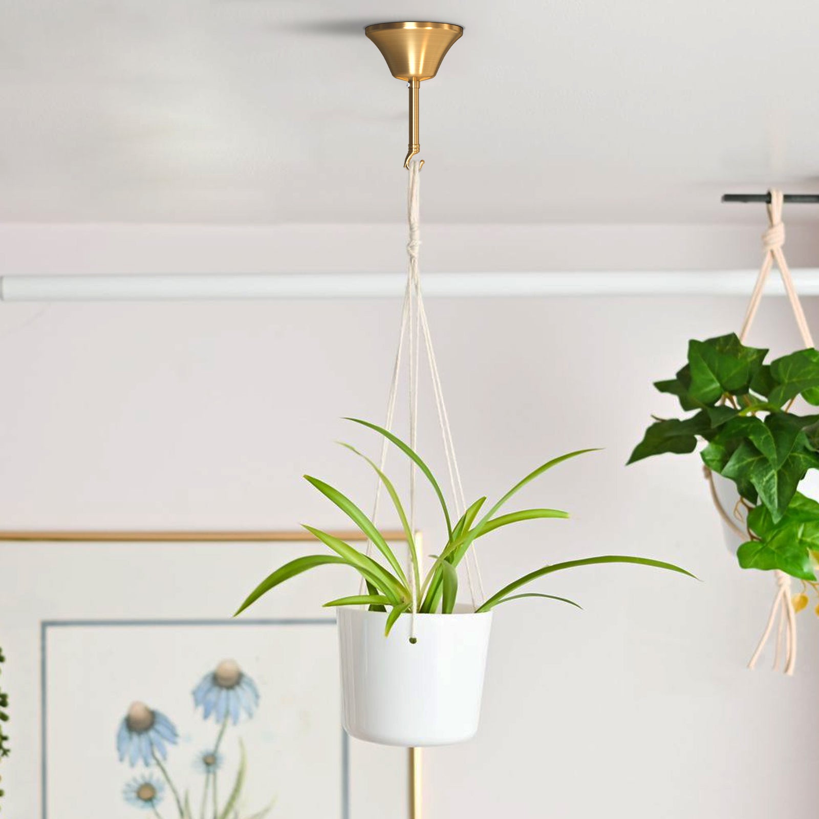 ceiling rose pendant set with B22 lamp holder for hanging light fitting