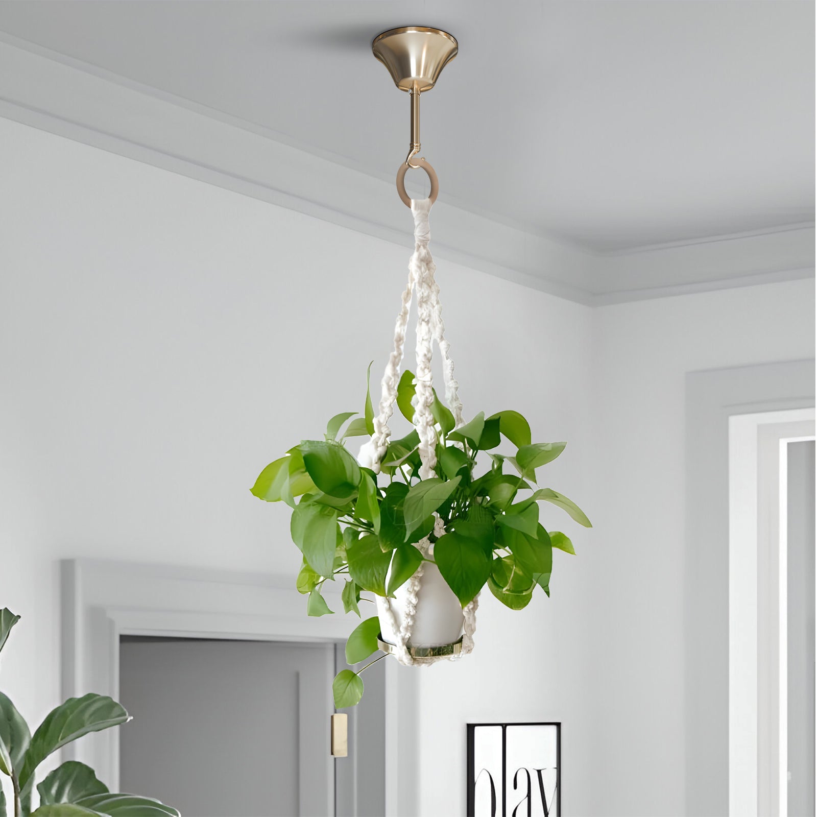 Chain ceiling rose pendant kit with B22 bayonet lamp holder