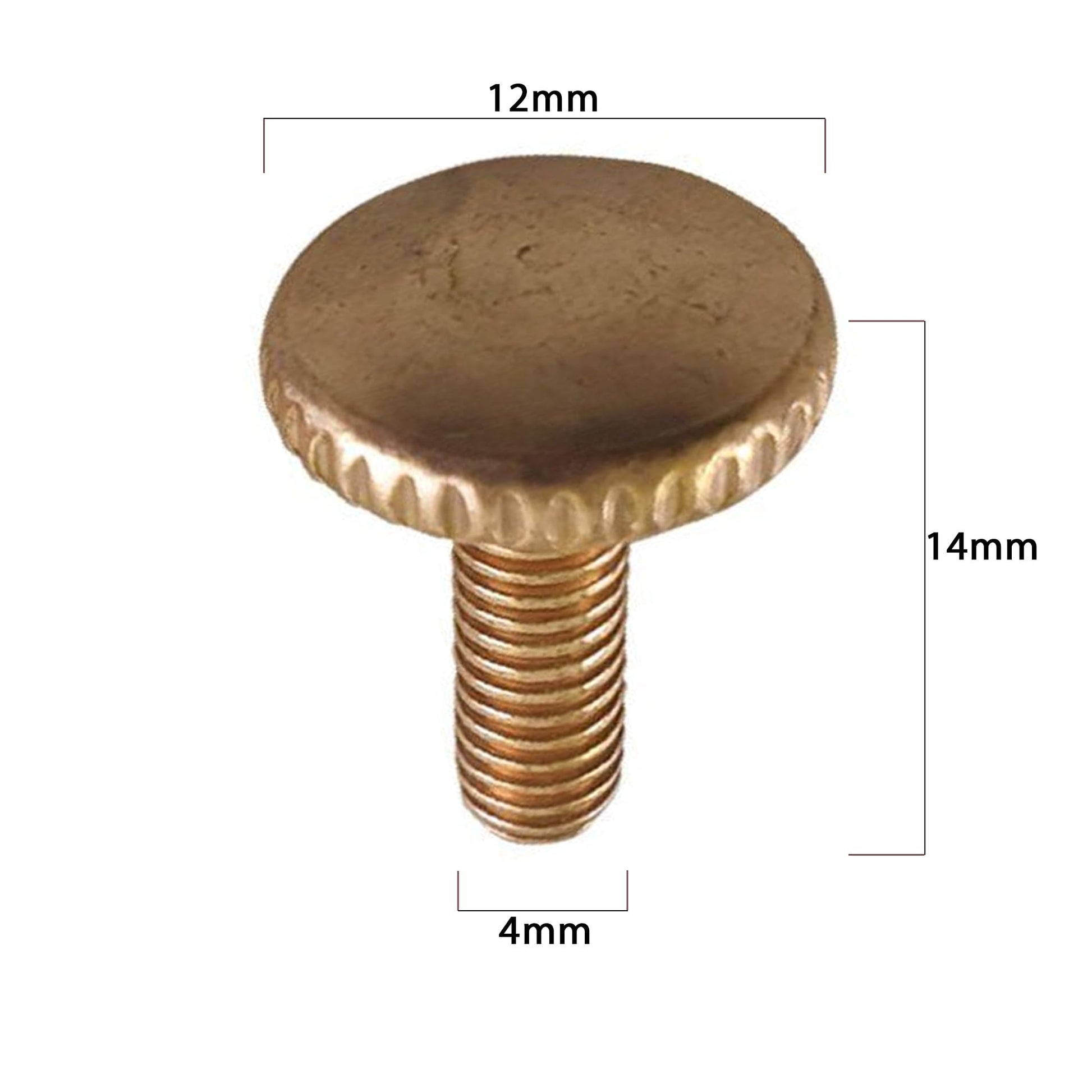 wood screws brass head m6