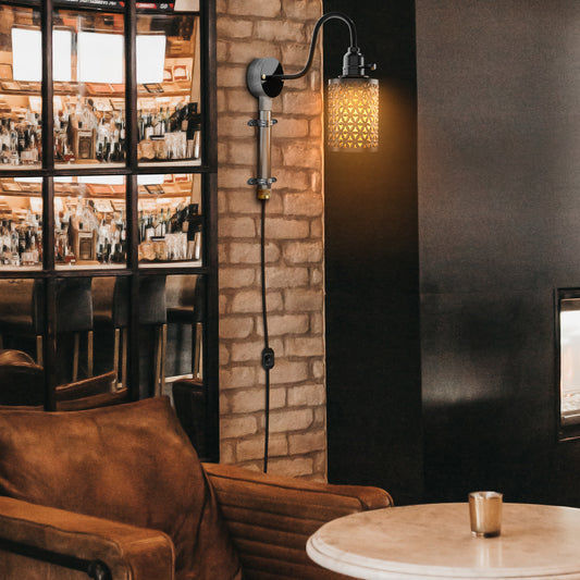 Zwanenhals plug-in wandlamp Lampenbeschermkooi gegalvaniseerd metaal verlichting~5460