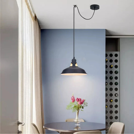 Modern pendant light hanging above a dining table with a vase of flowers in a room.
