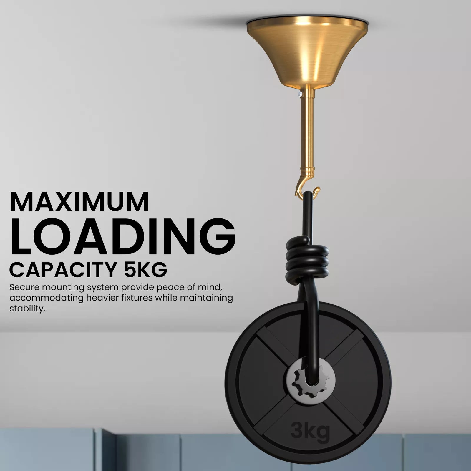 Ceiling rose with braided flex cable for industrial pendant lighting