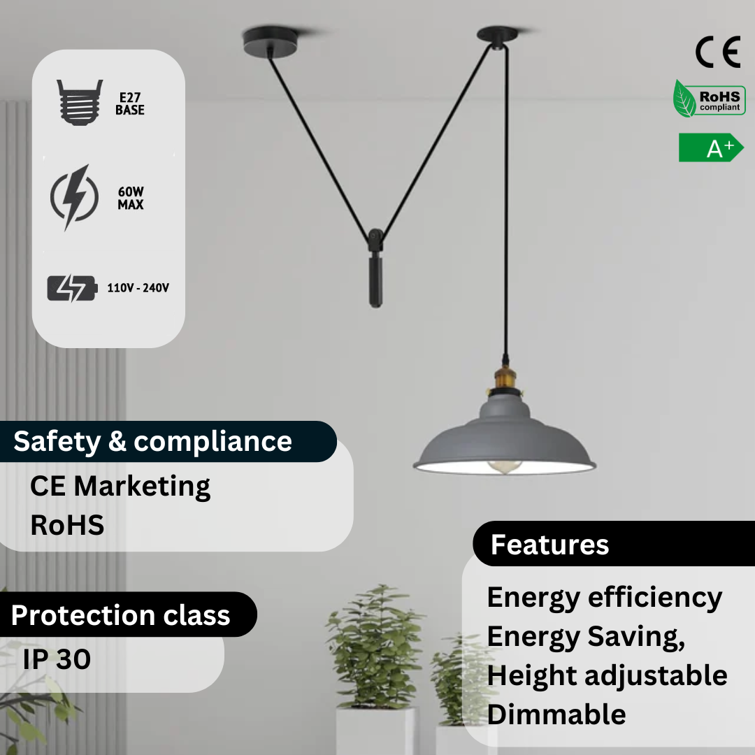 LEDSone One-Light Indoor Pulley Pendant