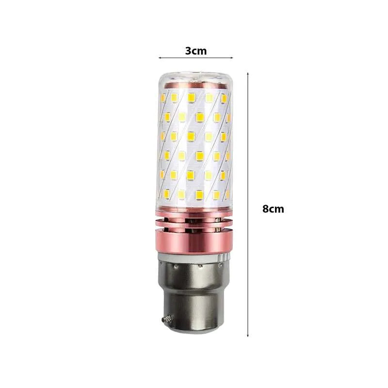 LED Light Bulb B22