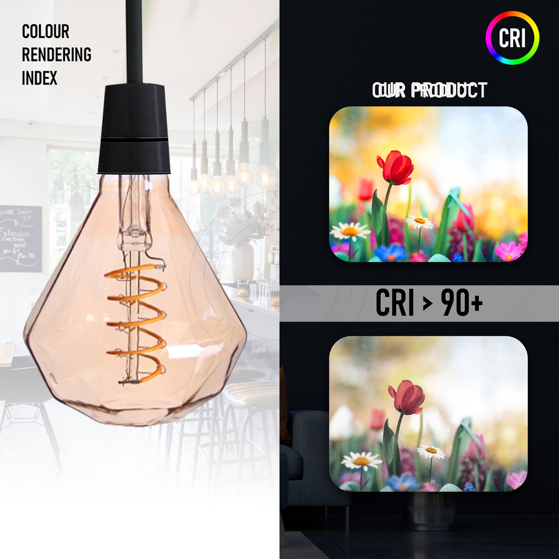 Premium Edison bulbs