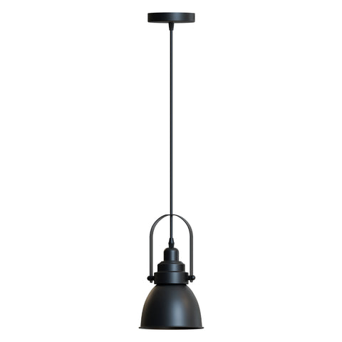 Black Metal Single Head Adjustable Pendant Light~6117