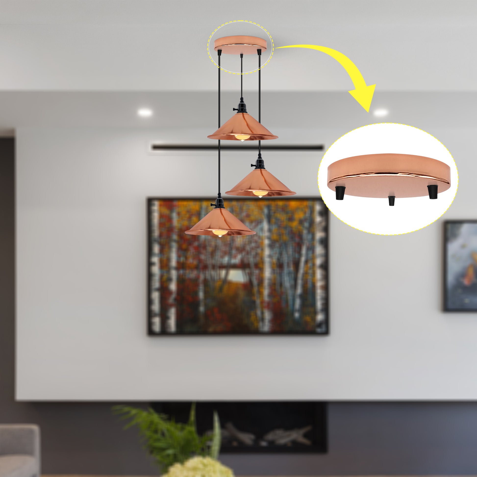 Ceiling rose with braided flex cable for industrial pendant lighting