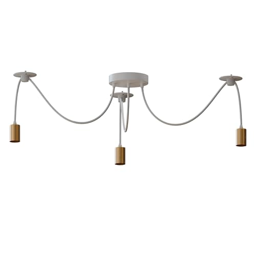 ceiling accessories luminaire