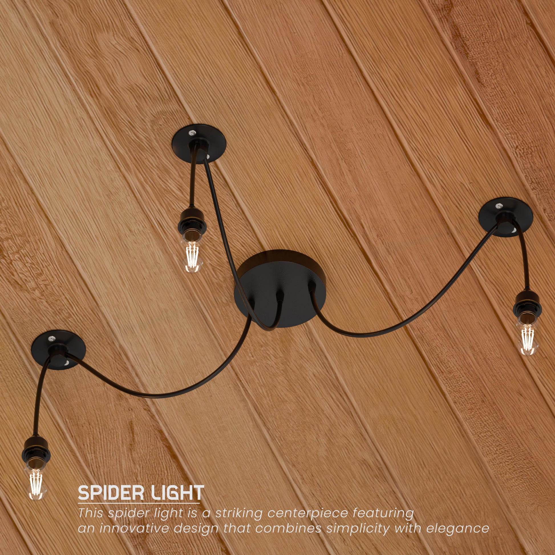 spider light