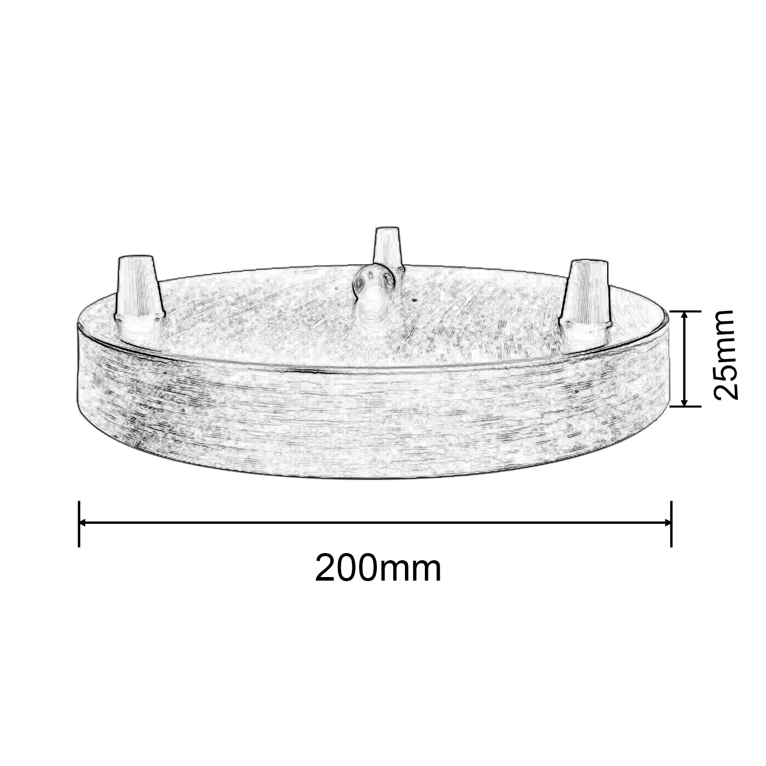 Ceiling Rose Light Pendant Wall Lamp