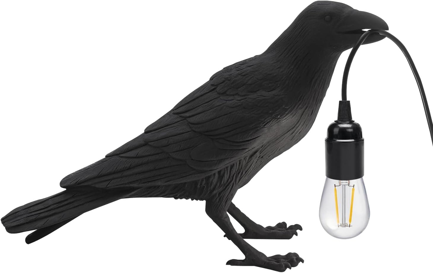 bird dark night style animal