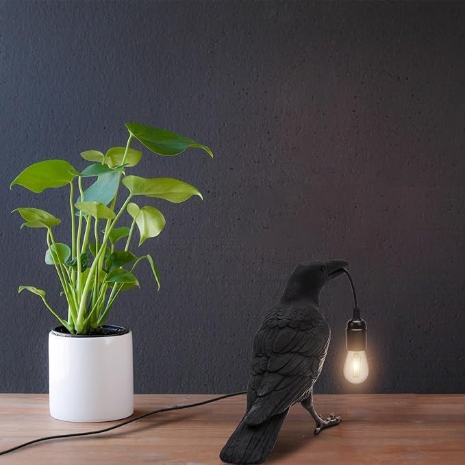 bird decor switch night dark