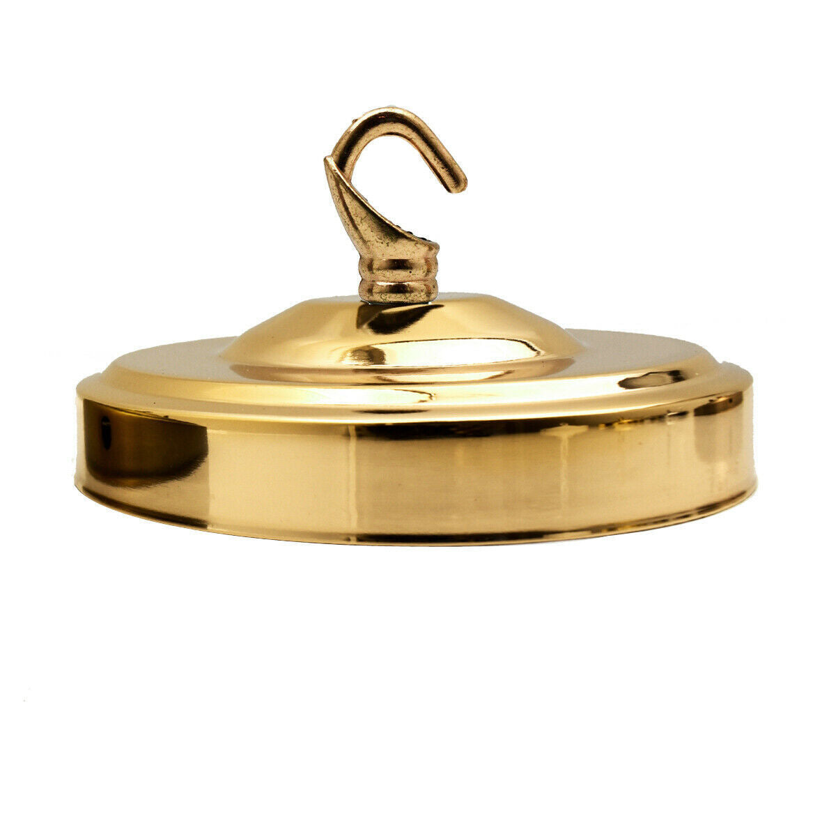 Ceiling rose with braided flex cable for vintage pendant light fitting