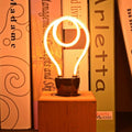 Vintage LED Neon E27 4W Verlichting Kamer Decoratieve Nachtlampjes Filament Schroeflamp ~5628