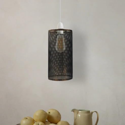 Metal cage light for home