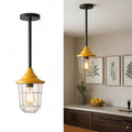 Industrial pipe ceiling pendant light kit with Conduit Fisherman Cage ~ 6114