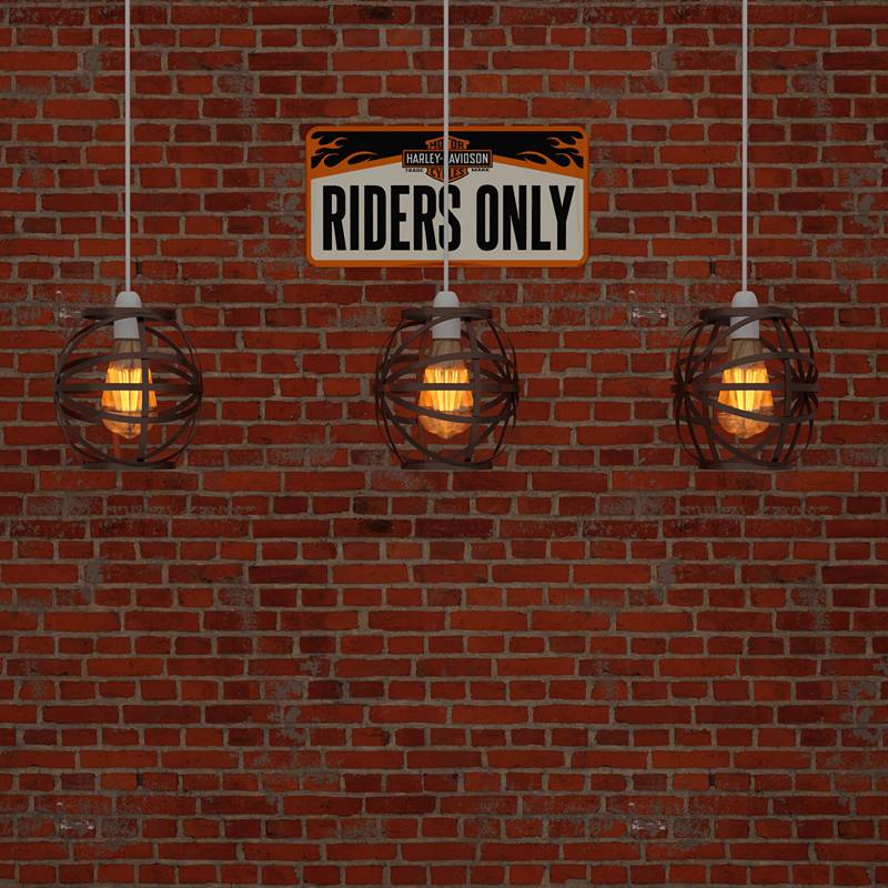 Modern Black metal Wire Cage lamp shade-App 3