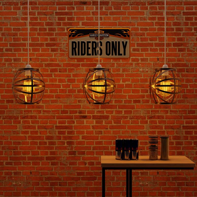 Modern Black metal Wire Cage lamp shade-App 2