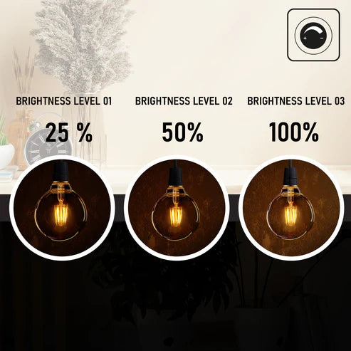 Vintage light bulb with three brightness levels displayed on a decorative background.