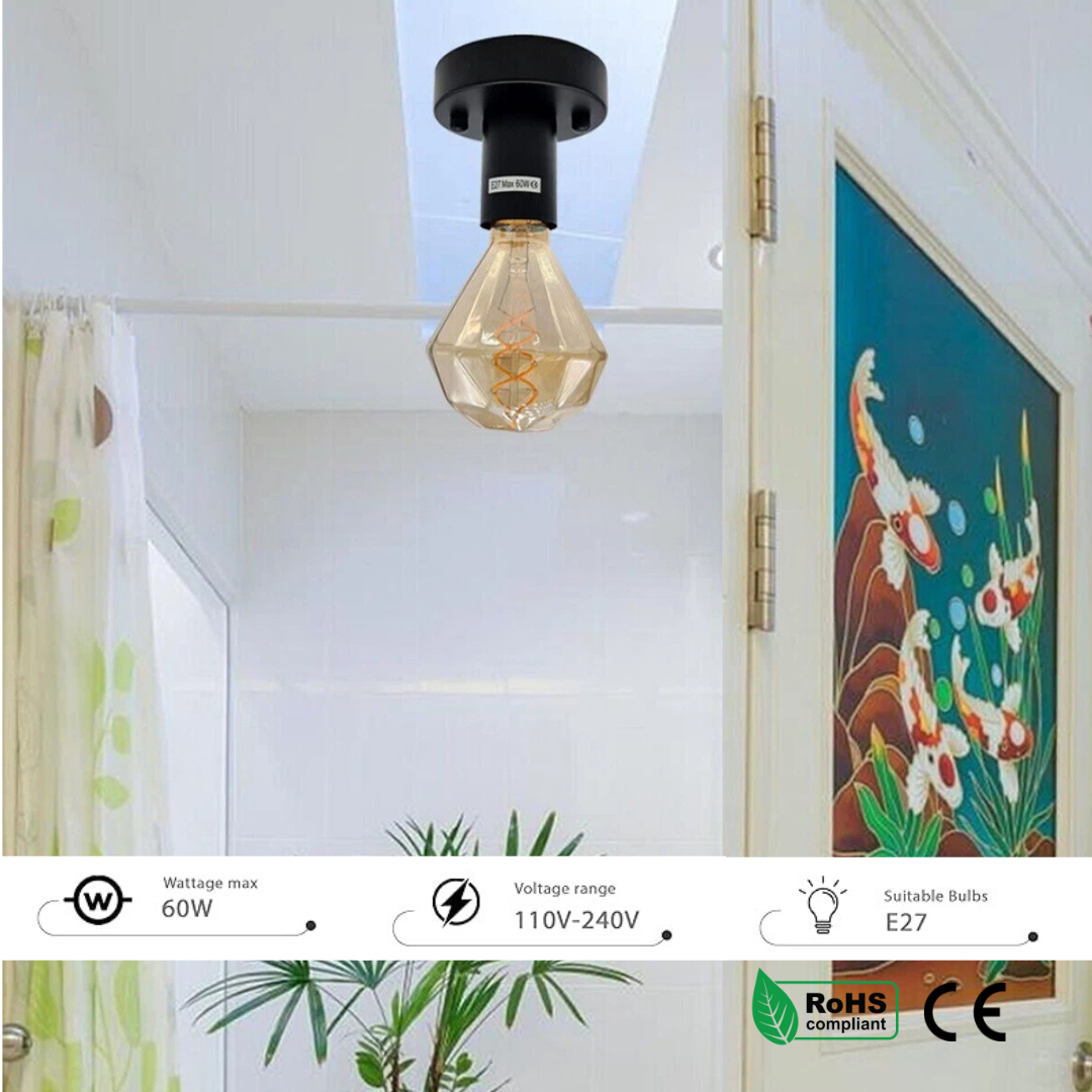 Light bulb hanging from a ceiling fixture with a fish tank and plants in the background