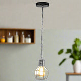 Industriële plafondlamp, vintage hangende metalen kooi hanglamp ~ 5708