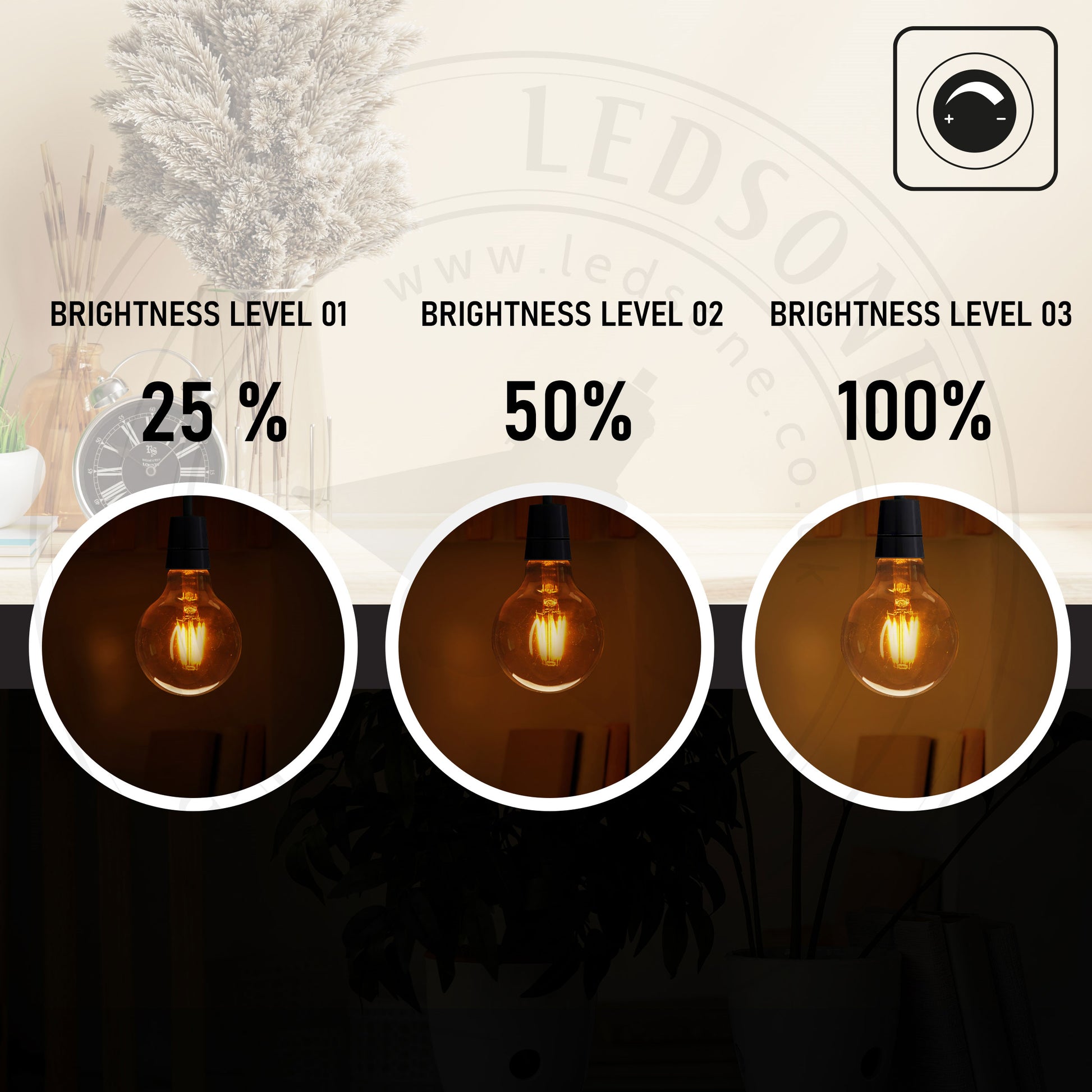 globe decorative led bulbs