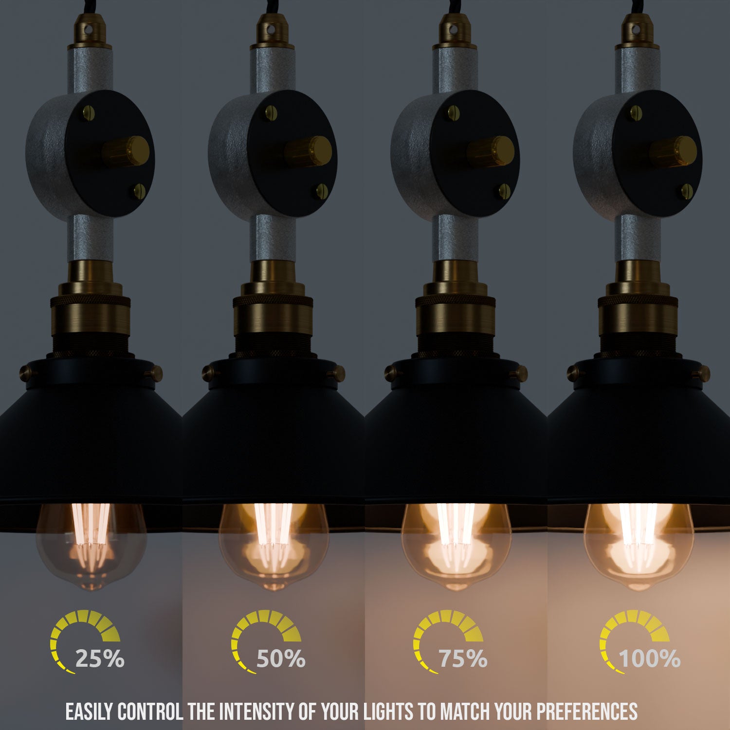 black light fixture dimmers