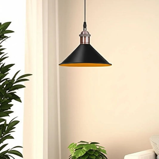 Modern matte black pendant light fixture
