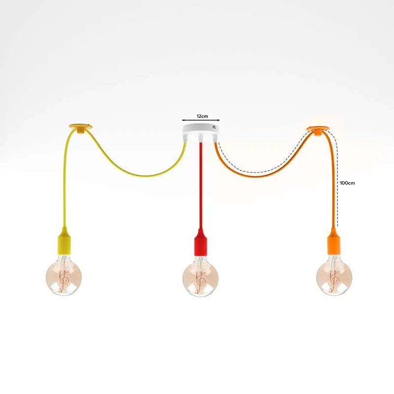 Ceiling Hanging Pendant light