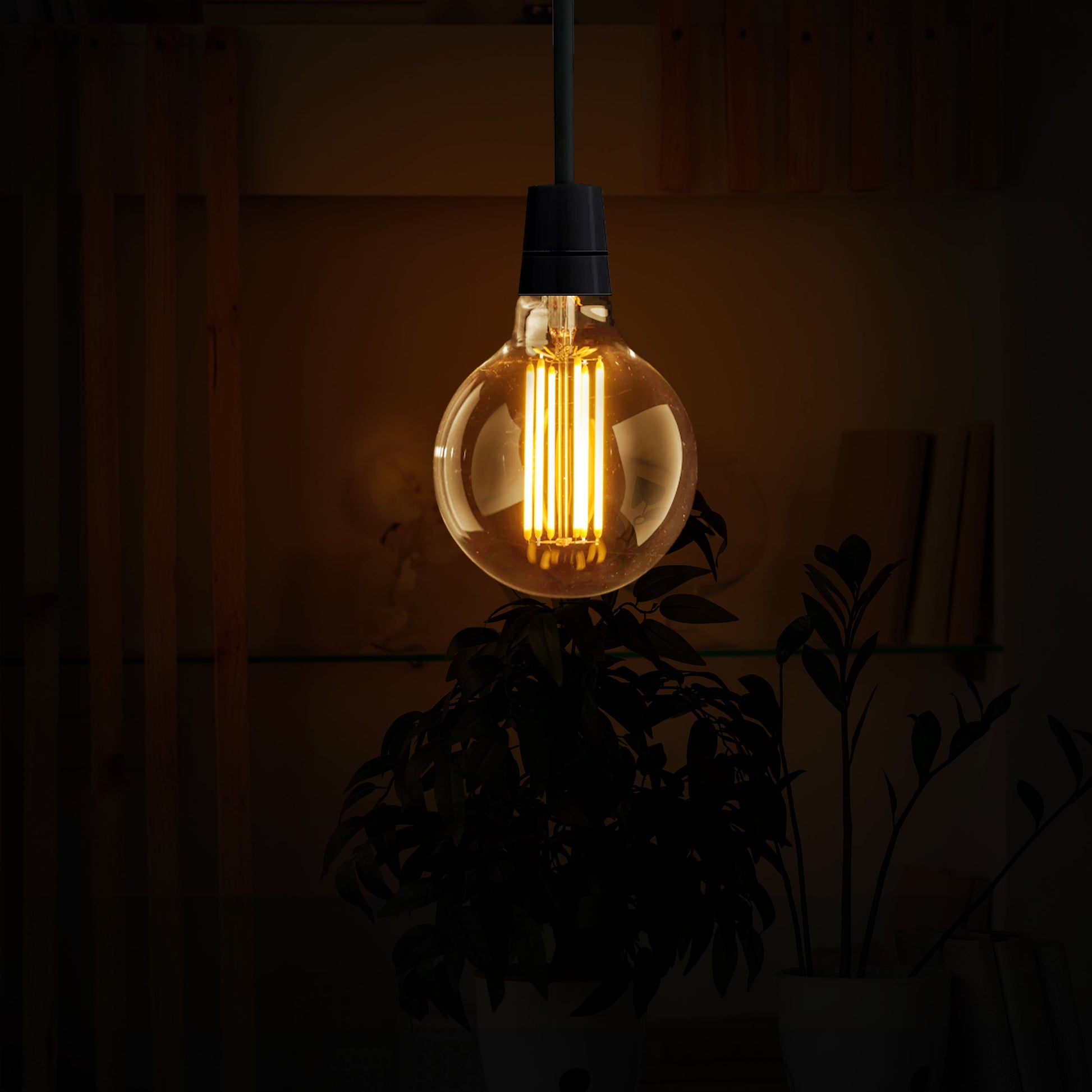E27 Globe Bulb