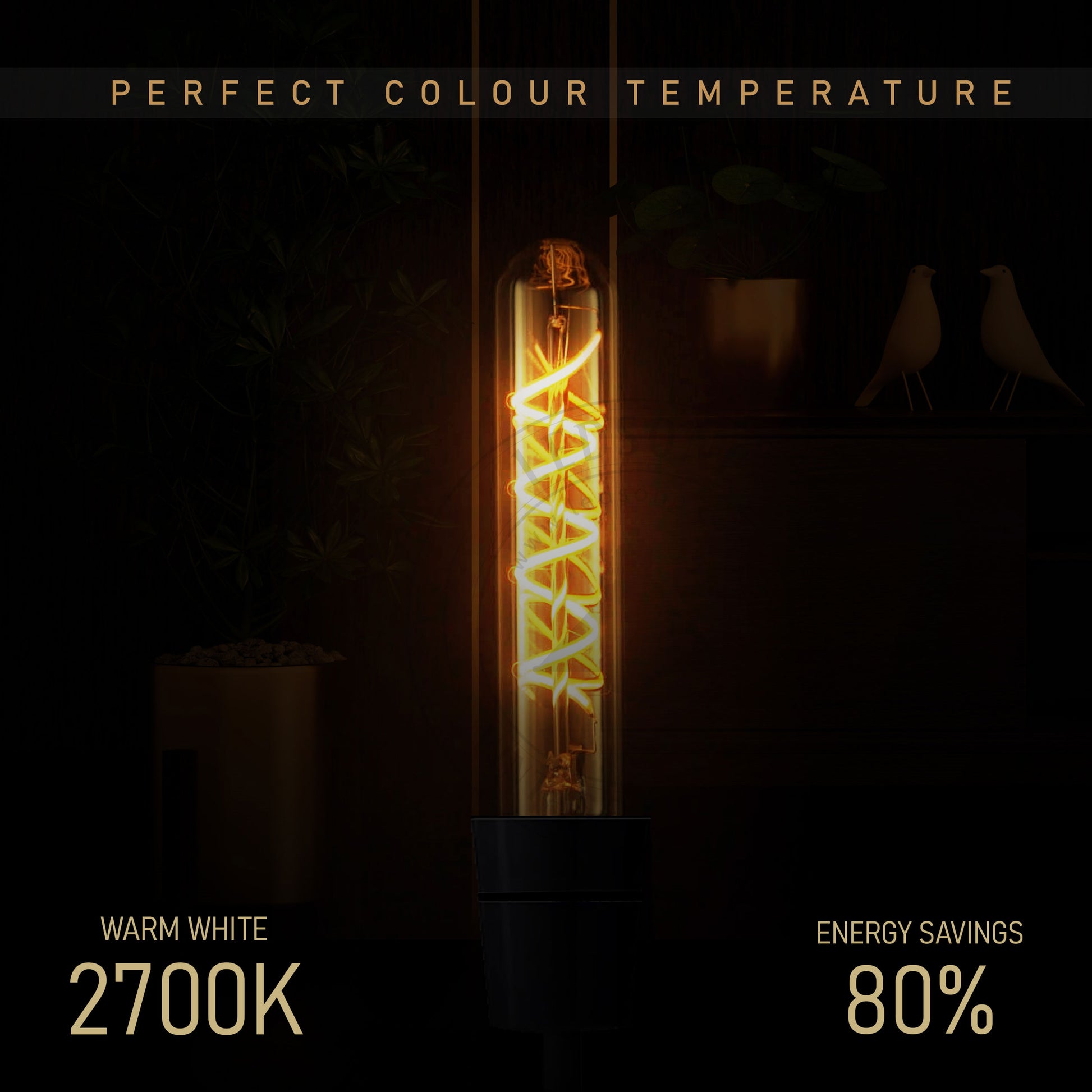 Decorative Led Bulbs ~ T185 Edison light bulb