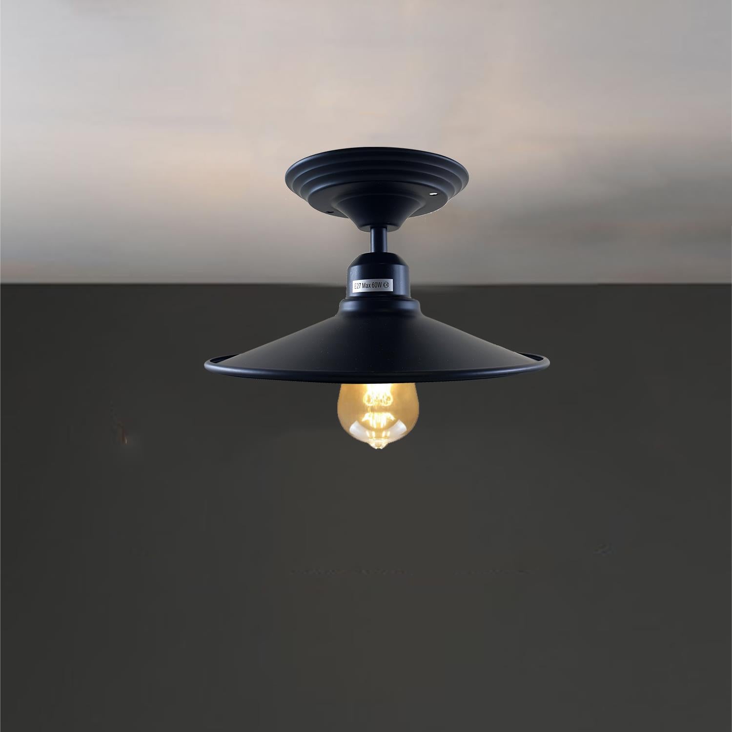 Ceiling Mounted Lamp Black Metal Near UK