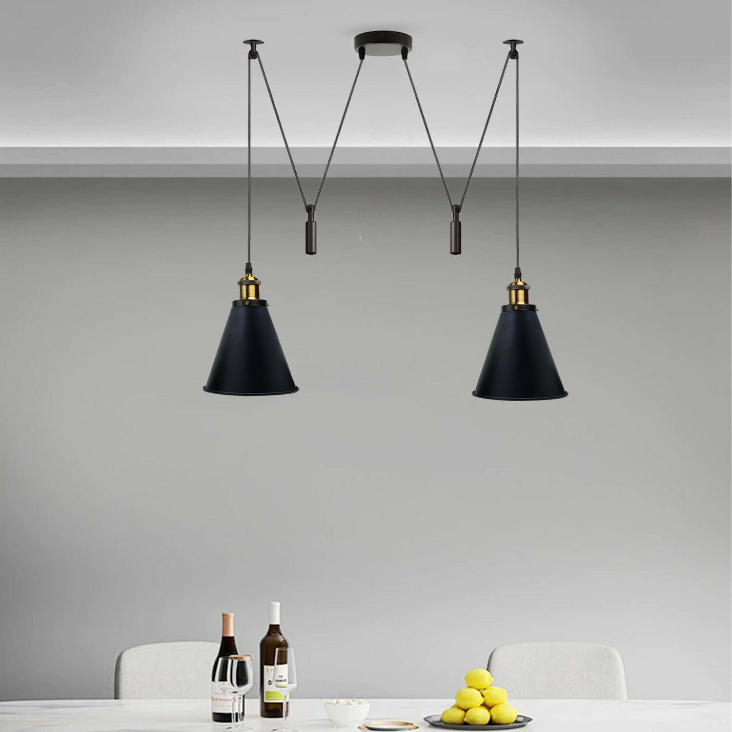 Industrial pendant lighting 2 WAY BLACK