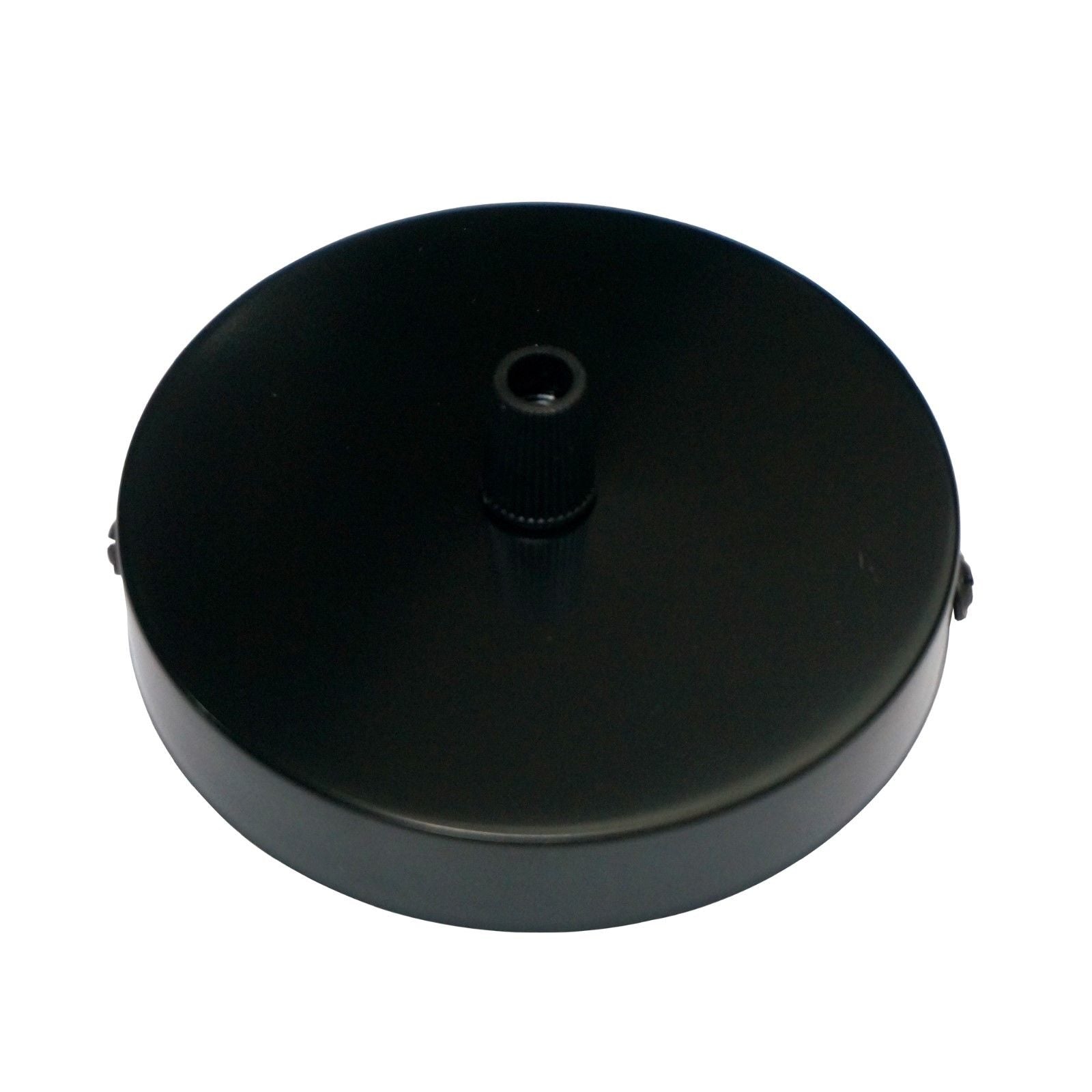 Black Industrial Ceiling Rose Vintage Light Pendant