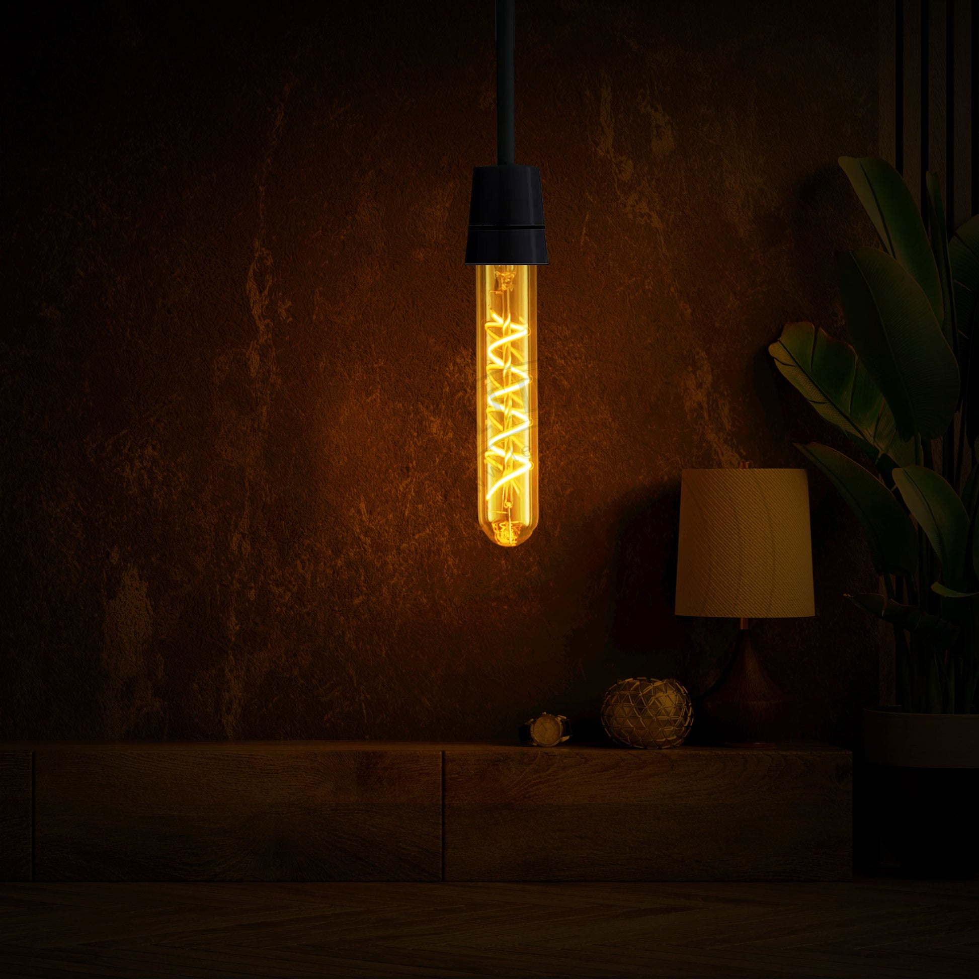 Decorative Led Bulbs